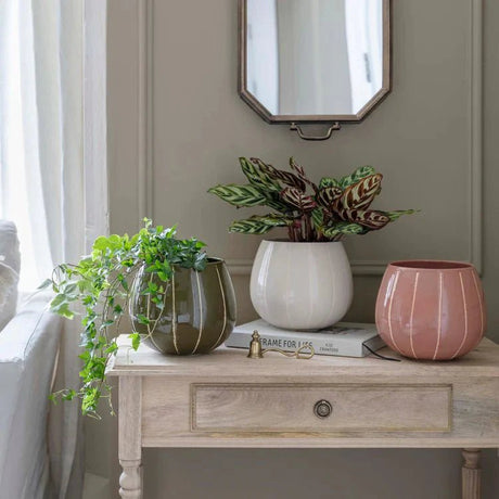 Indoor Planters & Plant Pots (no legs/stand) - Decor Sanctuary UK