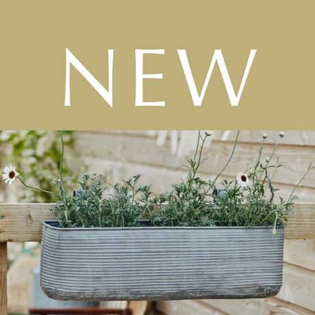 New Arrivals - In Gardening Accessories - Decor Sanctuary UK