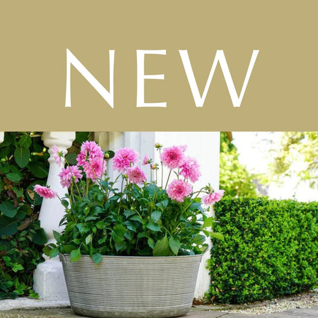 New Arrivals - Outdoor Planters & Plant Pots - Decor Sanctuary UK