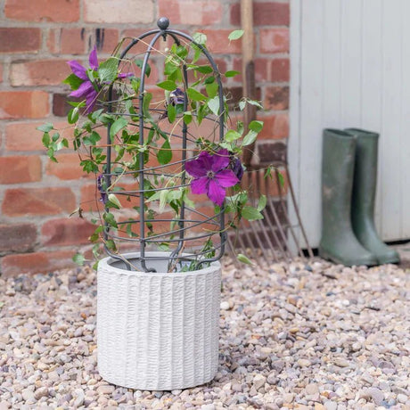 Outdoor Garden Plant Support Climbing Frames & Cages - Decor Sanctuary UK