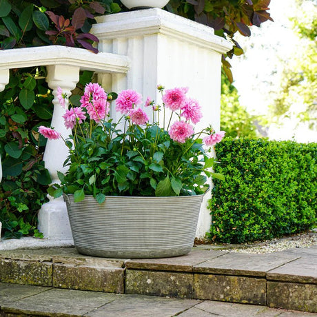Outdoor Garden Planters & Plant Pots inc. Large & Tall - Decor Sanctuary UK