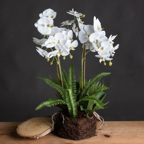 Realistic Artificial / Faux Potted Flowers & Plants - Decor Sanctuary UK