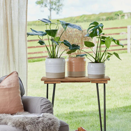2 Tone Indoor Lipped & Ripple Planter - Peach Orange Gloss Glaze and Earth Brown Base Luxury Home Decor Garden & Outdoor And Gifts
