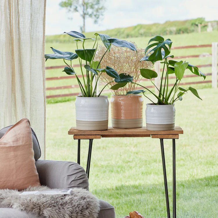 2 Tone Indoor Lipped & Ripple Planter - Peach Orange Gloss Glaze and Earth Brown Base Luxury Home Decor Garden & Outdoor And Gifts