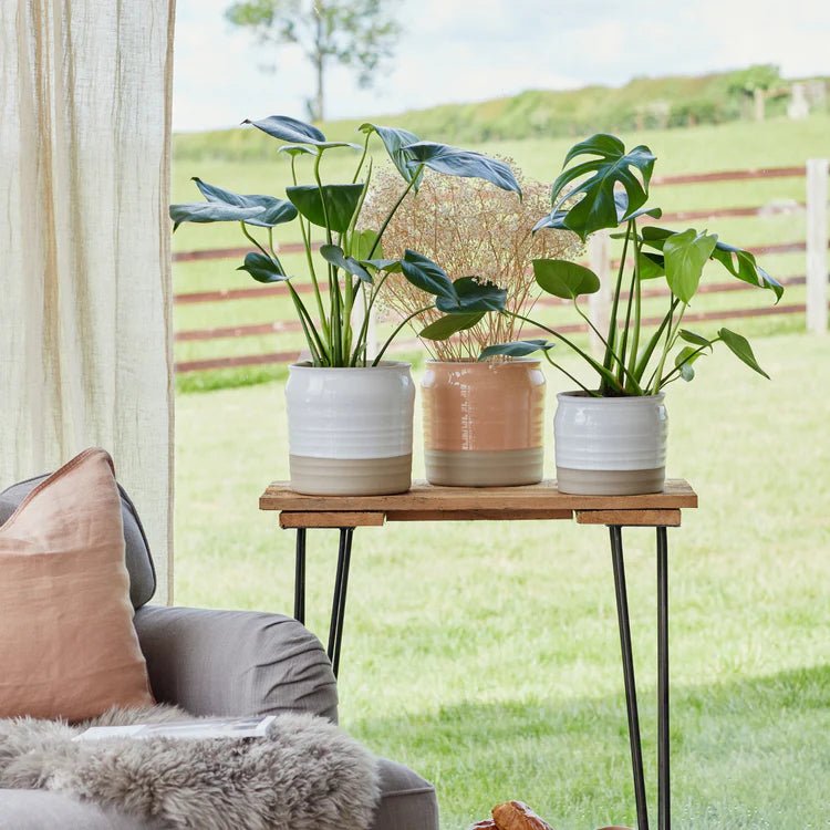 2 Tone Indoor Lipped & Ripple Planter - White Gloss Glaze and Earth Brown Base Luxury Home Decor Garden & Outdoor And Gifts