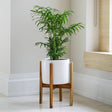 Anzio Indoor Planter w/Legs White Ceramic - Mid Century Design - Premium Glaze Waterproof Quality Home Decor Garden & Outdoor Living and Gifts
