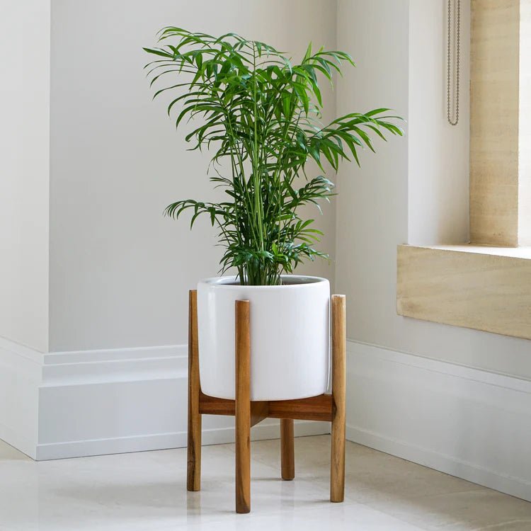 Anzio Indoor Planter w/Legs White Ceramic - Mid Century Design - Premium Glaze Waterproof Quality Home Decor Garden & Outdoor Living and Gifts