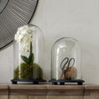 Black Wooden Base Dome Glass Cloche - Decorative Ornaments UK Luxury Home Decor Garden & Outdoor And Gifts