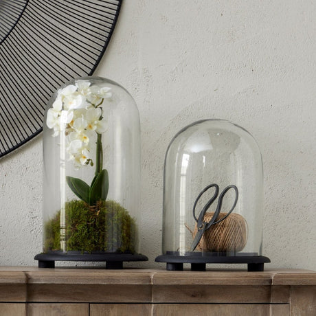 Black Wooden Base Dome Glass Cloche - Decorative Ornaments UK Luxury Home Decor Garden & Outdoor And Gifts