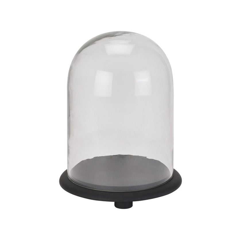 Black Wooden Base Dome Glass Cloche - Decorative Ornaments UK Luxury Home Decor Garden & Outdoor And Gifts