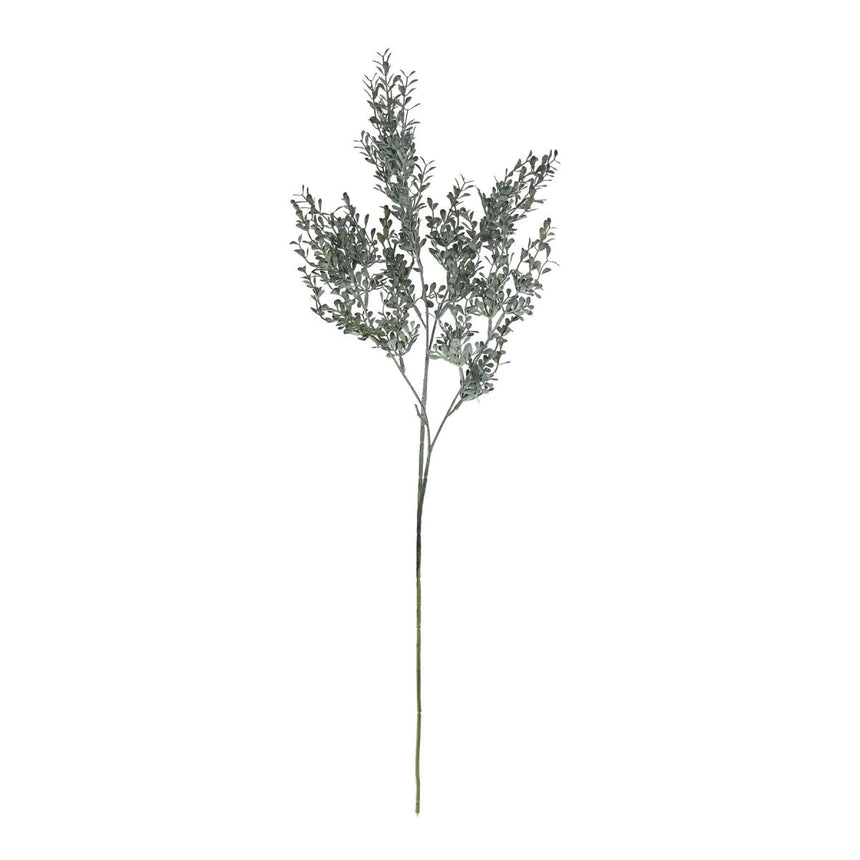 Blackened Grass Spray Stem Luxury Home Decor Garden & Outdoor And Gifts