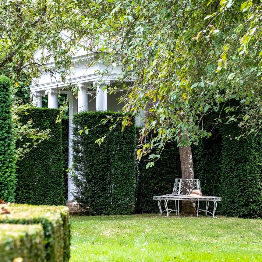 Blaisdon Cream Decorative Garden Loire Full Tree Seat - French Style Quality Home Decor Garden & Outdoor Living and Gifts