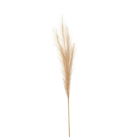 Bleached Faux Pampas Grass - Realistic Artificial Flower Single Stem Luxury Home Decor Garden & Outdoor And Gifts