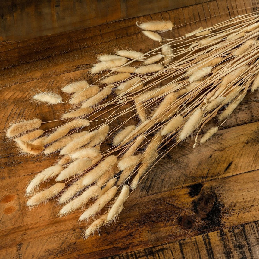 Bouquet Of Tall Bunny Tails - Best Preserved Dried Flowers Online Luxury Home Decor Garden & Outdoor And Gifts
