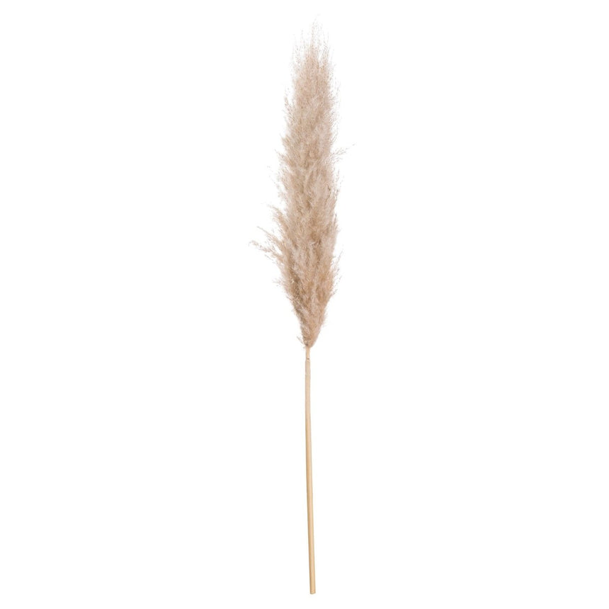 Butter Pampas Grass - Realistic Artificial Flower Single Stem Luxury Home Decor Garden & Outdoor And Gifts