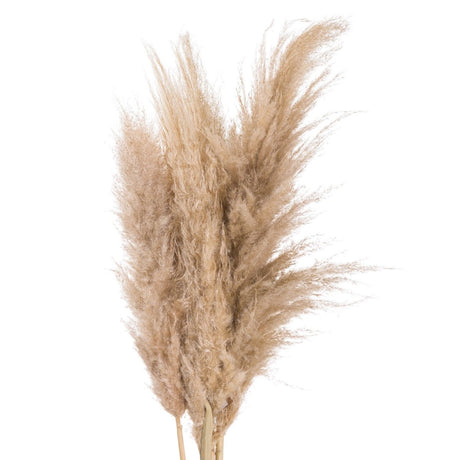 Butter Pampas Grass - Realistic Artificial Flower Single Stem Luxury Home Decor Garden & Outdoor And Gifts