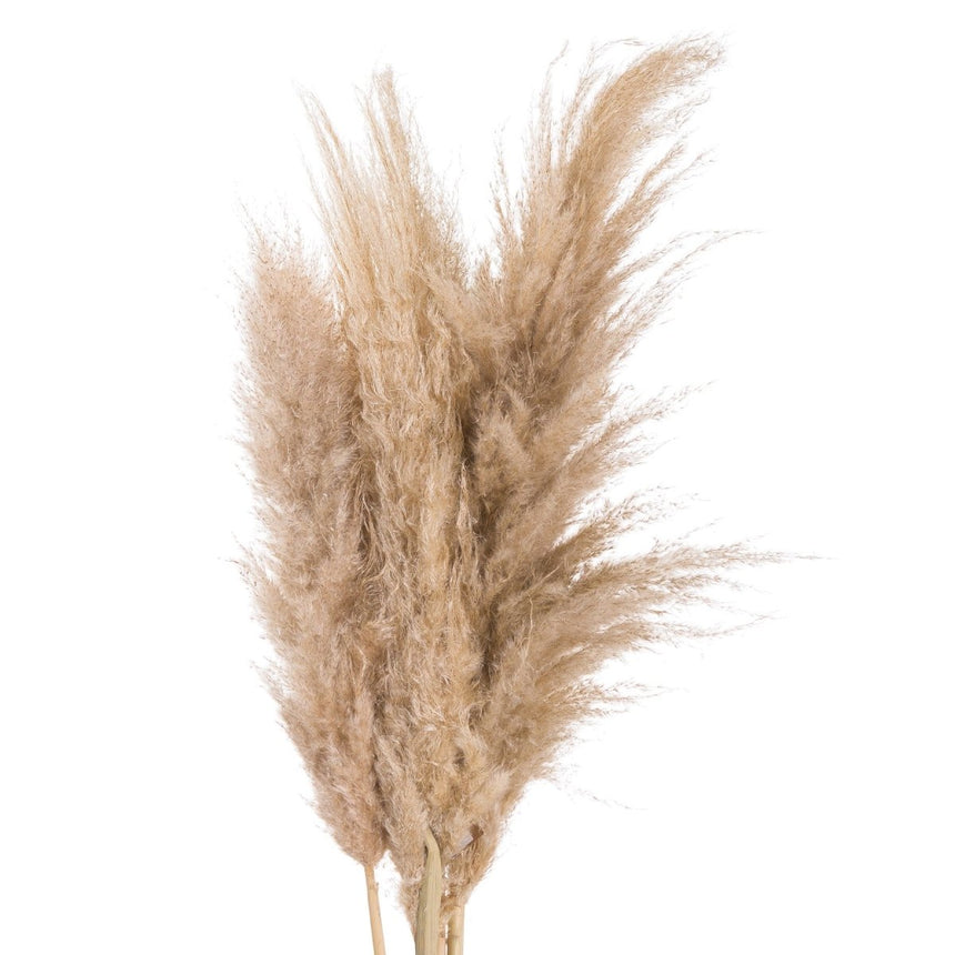 Butter Pampas Grass - Realistic Artificial Flower Single Stem Luxury Home Decor Garden & Outdoor And Gifts