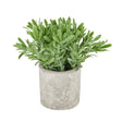 Buxus Plant In Stone Effect Pot - Artificial Potted Plants Luxury Home Decor Garden & Outdoor And Gifts