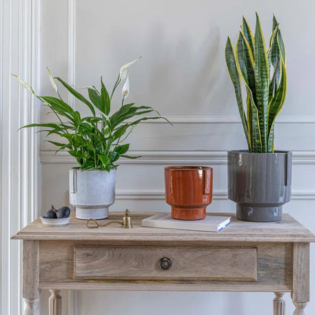 Charcoal Grey Stoneware Indoor Planter - Glazed Handles Luxury Home Decor Garden & Outdoor And Gifts