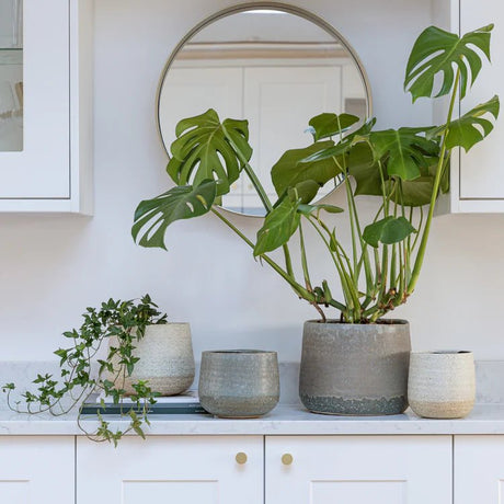 Chic Grey Ceramic Indoor Planter - Round Rustic Design Luxury Home Decor Garden & Outdoor And Gifts