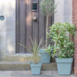 Cleo Outdoor Square Planter Sage Green w/Wheels - Frost Resistant, Built - in Drainage Quality Home Decor Garden & Outdoor Living and Gifts
