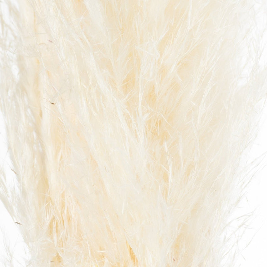 Cream Pampas Grass - Realistic Artificial Flower Single Stem Luxury Home Decor Garden & Outdoor And Gifts