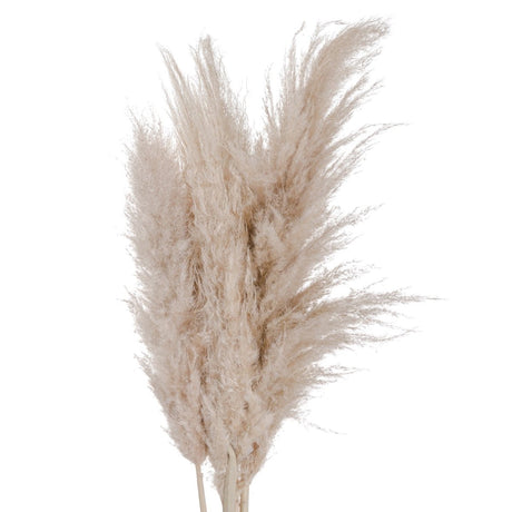 Cream Pampas grass - Realistic Artificial Flower Single Stem Luxury Home Decor Garden & Outdoor And Gifts