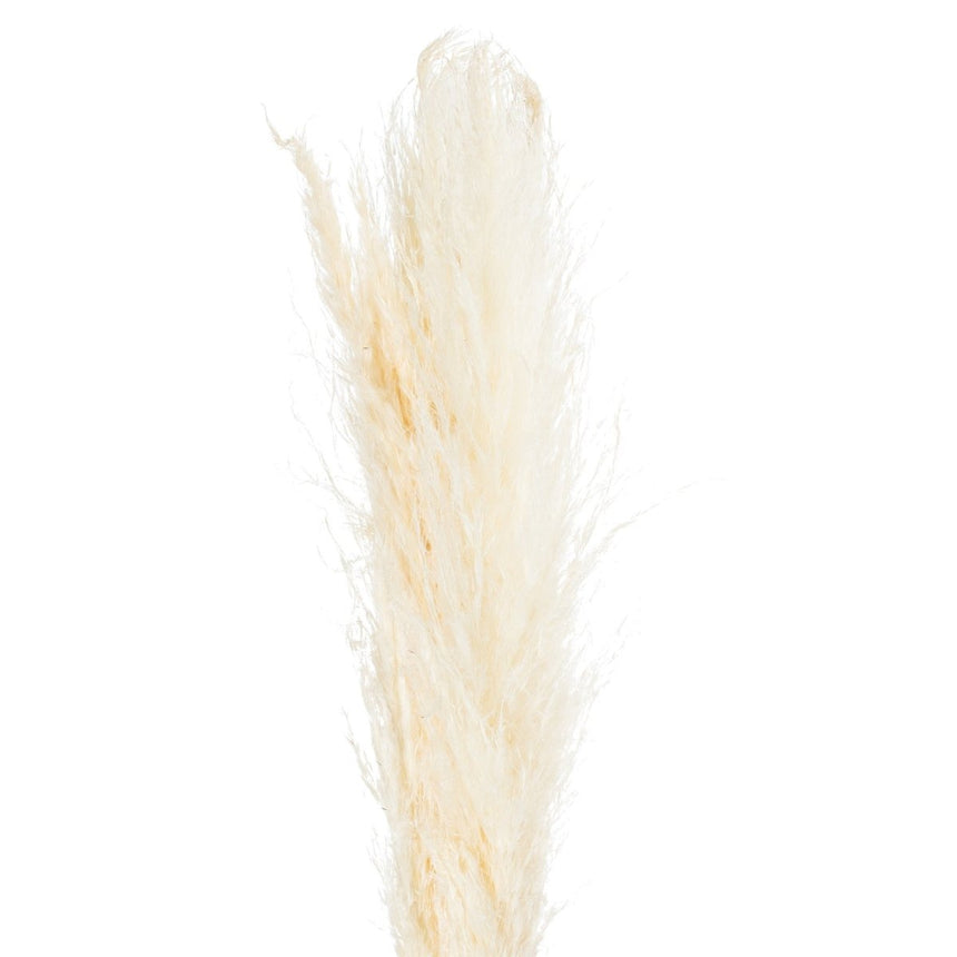 Cream Pampas Grass - Realistic Artificial Flower Single Stem Luxury Home Decor Garden & Outdoor And Gifts