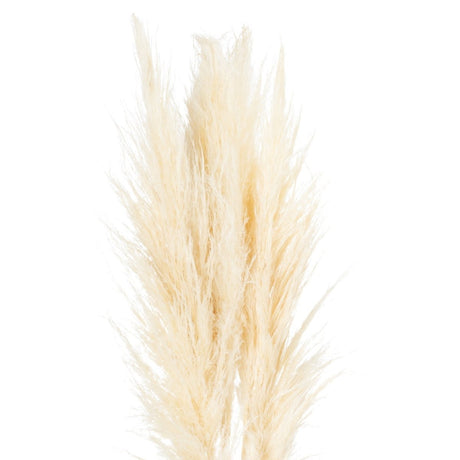 Cream Pampas Grass - Realistic Artificial Flower Single Stem Luxury Home Decor Garden & Outdoor And Gifts