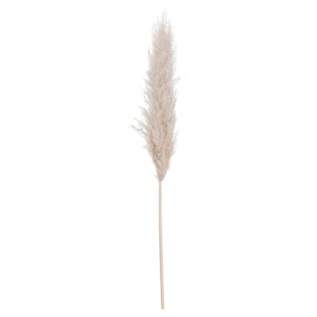 Cream Pampas grass - Realistic Artificial Flower Single Stem Luxury Home Decor Garden & Outdoor And Gifts