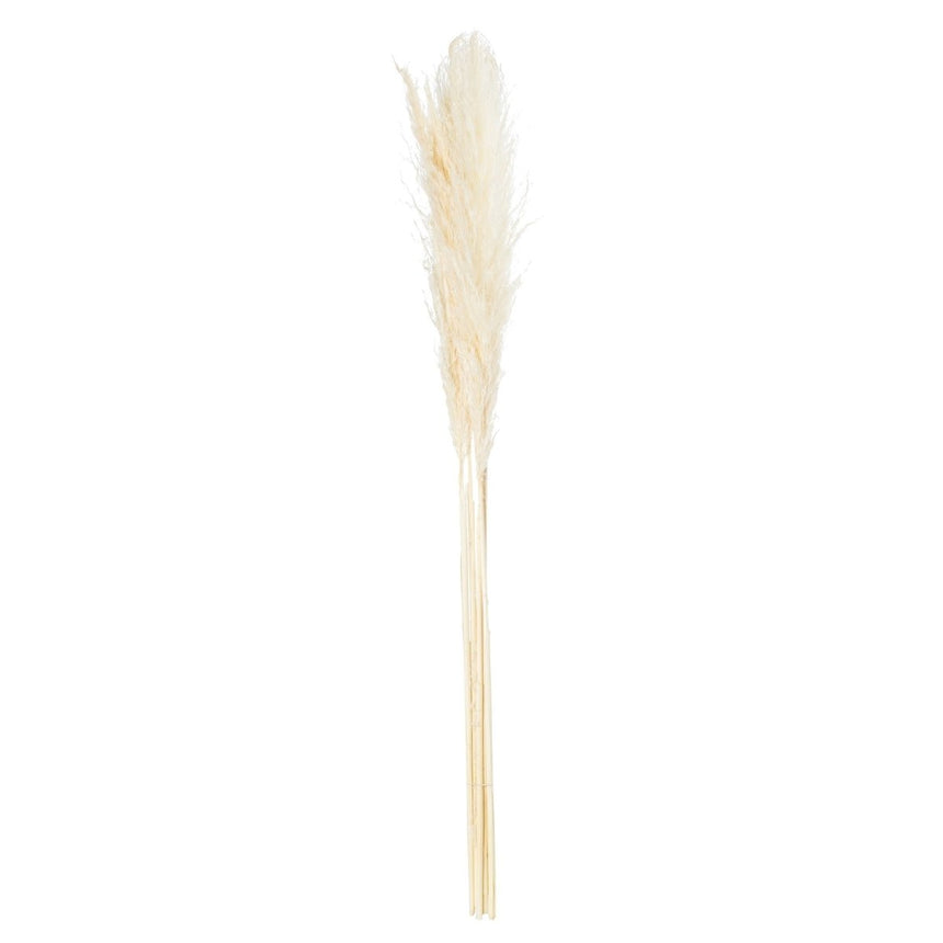 Cream Pampas Grass - Realistic Artificial Flower Single Stem Luxury Home Decor Garden & Outdoor And Gifts
