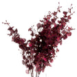 Deep Burgundy Orchid Spray - Realistic Artificial Flower Single Stem Luxury Home Decor Garden & Outdoor And Gifts