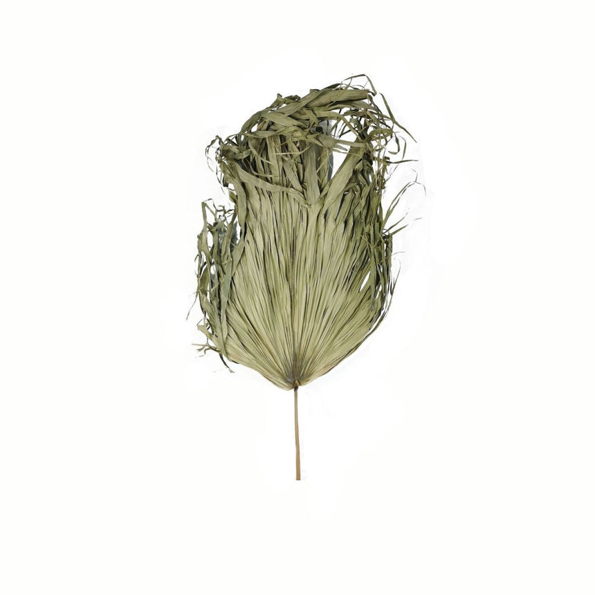 Dried Sun Big Palm - Realistic Artificial Flower Single Stem Luxury Home Decor Garden & Outdoor And Gifts