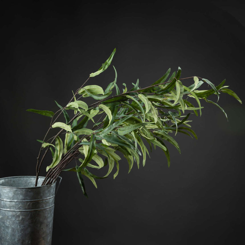 Eucalyptus Nicholii Spray - Realistic Artificial Flower Single Stem Luxury Home Decor Garden & Outdoor And Gifts