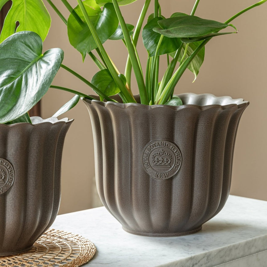 Extra Large Kew Gardens Ceramic Indoor Planter - Mocha Brown Fluted Tulip Design Luxury Home Decor Garden & Outdoor And Gifts