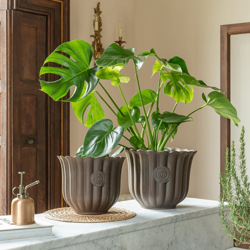 Extra Large Kew Gardens Ceramic Indoor Planter - Mocha Brown Fluted Tulip Design Luxury Home Decor Garden & Outdoor And Gifts