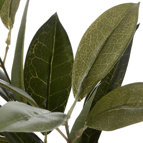 Faux Bay Leaf Spray - Realistic Artificial Flower Single Stem Luxury Home Decor Garden & Outdoor And Gifts