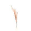 Faux Pampas Grass - Realistic Artificial Flower Single Stem Luxury Home Decor Garden & Outdoor And Gifts