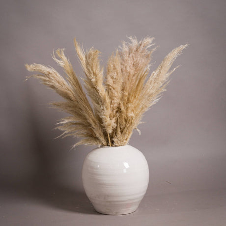 Garda Glazed Large Regola Cream Vase - Glazed Ceramic Vases UK Luxury Home Decor Garden & Outdoor And Gifts