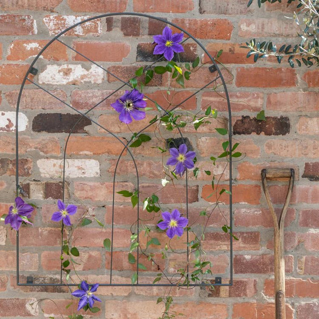Garden Arch Plant Trellis Bronze Finish - Handcrafted, Easily Fixes To Brick, Fence & Panelling Quality Home Decor Garden & Outdoor Living and Gifts