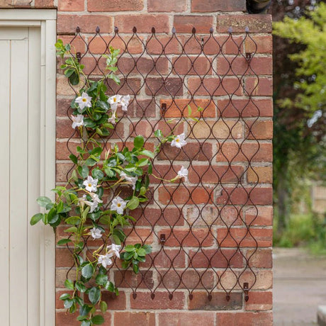 Garden Metal Trellis Large Honeycomb Style - Easily Build Your Custom Design Layout Quality Home Decor Garden & Outdoor Living and Gifts