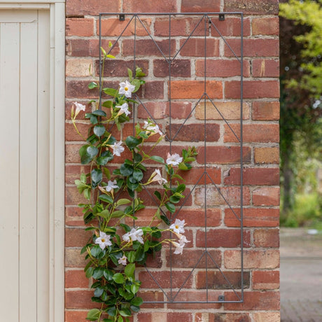 Garden Plant/Flower Trellis Herringbone Handcrafted Design - Brings Life To Bare Wall Or Fence Quality Home Decor Garden & Outdoor Living and Gifts