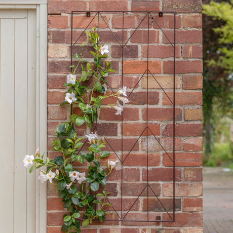 Garden Wall Plant Trellis Herringbone Design Metal Bronze Finish - Ideal For Climbing Rose Quality Home Decor Garden & Outdoor Living and Gifts