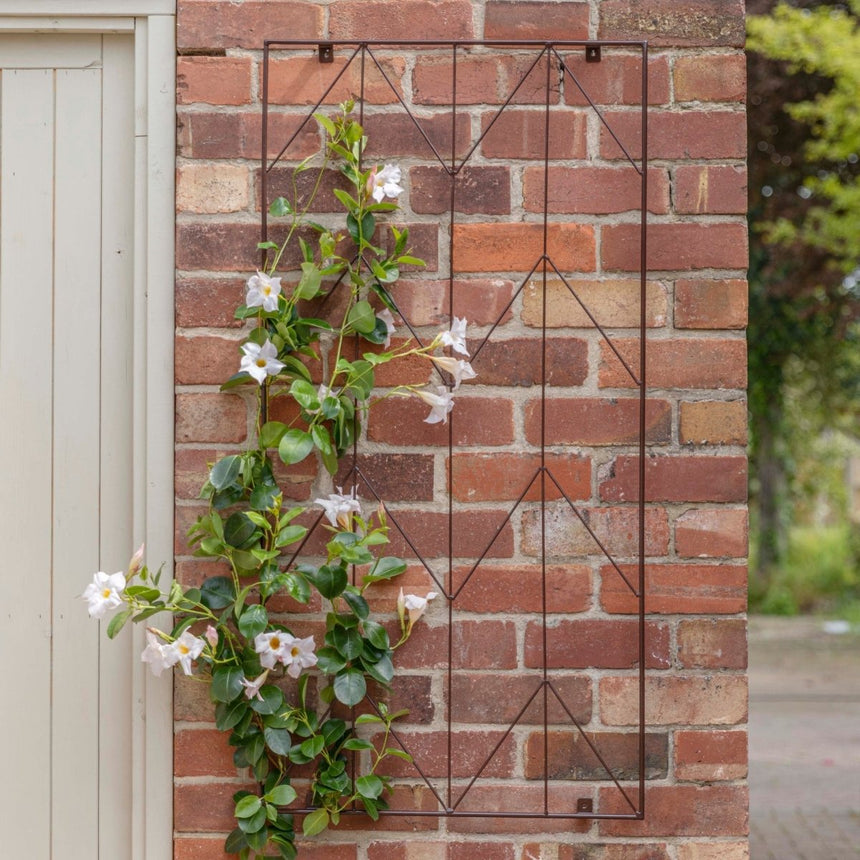 Garden Wall Plant Trellis Herringbone Design Metal Bronze Finish - Ideal For Climbing Rose Quality Home Decor Garden & Outdoor Living and Gifts
