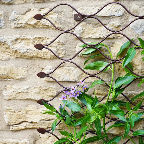 Garden Wall Plant Trellis Small Honeycomb Style - Easily Build Your Custom Design Layout Quality Home Decor Garden & Outdoor Living and Gifts