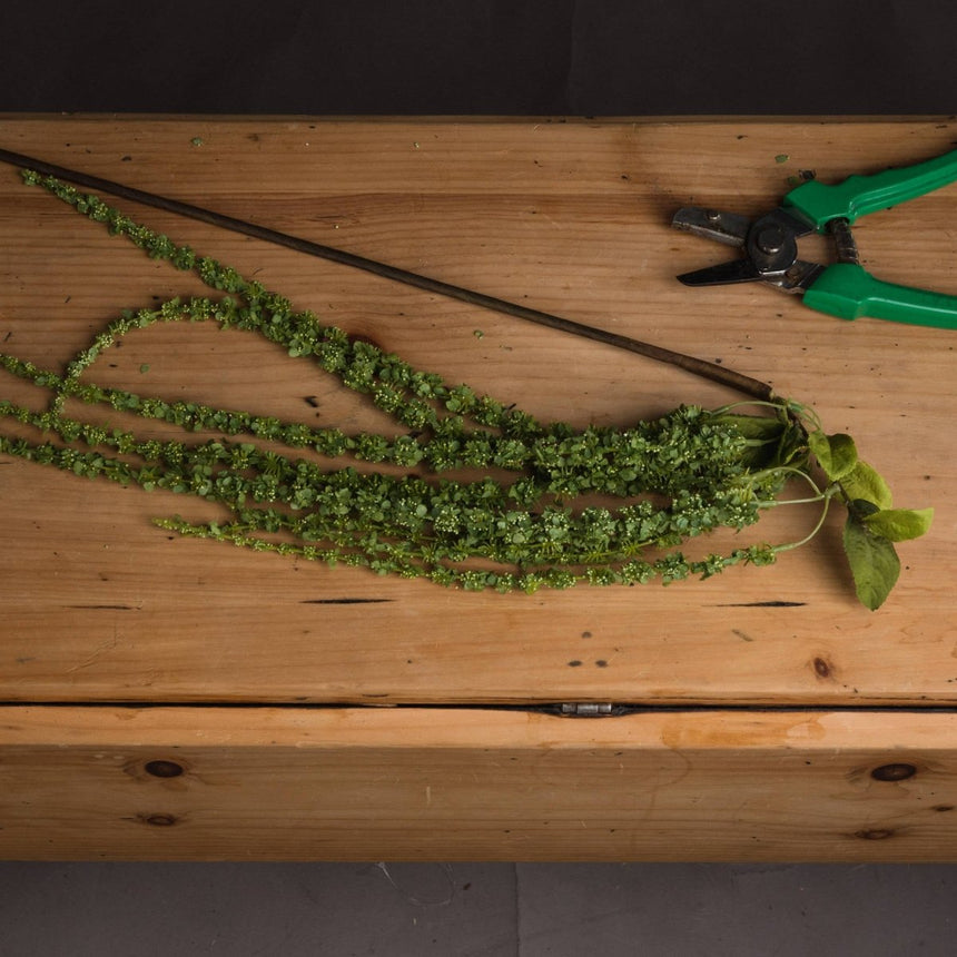 Green Amaranthus - Realistic Artificial Flower Single Stem Luxury Home Decor Garden & Outdoor And Gifts