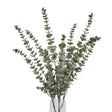 Gunnii Blue Eucalyptus Spray - Best Artificial Flower Single Stem Luxury Home Decor Garden & Outdoor And Gifts