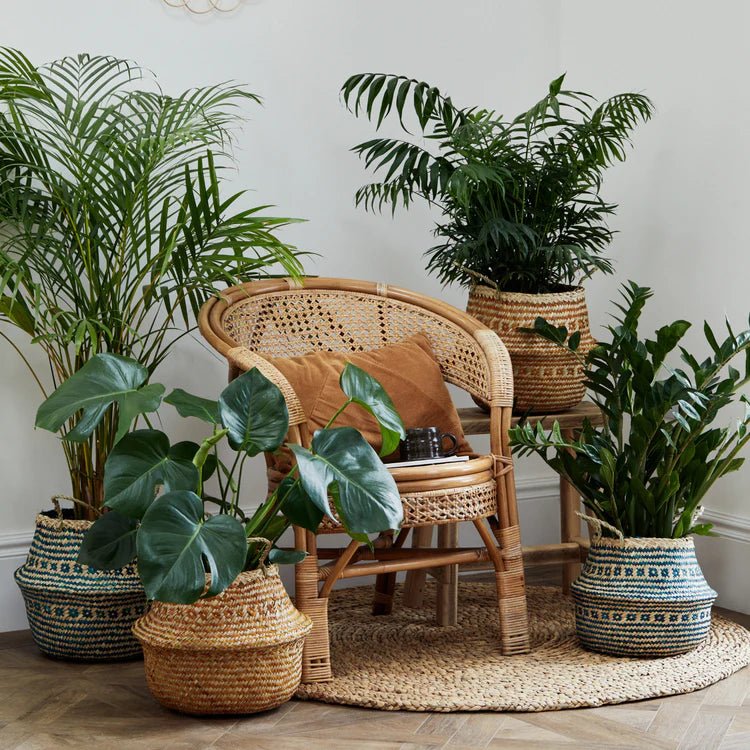 Hand Finished Seagrass Indoor Basket Planter or Stylish Storage - Mustard Orange Tribal Design Luxury Home Decor Garden & Outdoor And Gifts