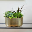 Indoor Gold - Tone Embossed Plant Bowl Luxury Home Decor Garden & Outdoor And Gifts