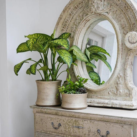 Indoor Planter & Plant Pot - White gold, Ceramic Quality Home Decor Garden & Outdoor Living and Gifts